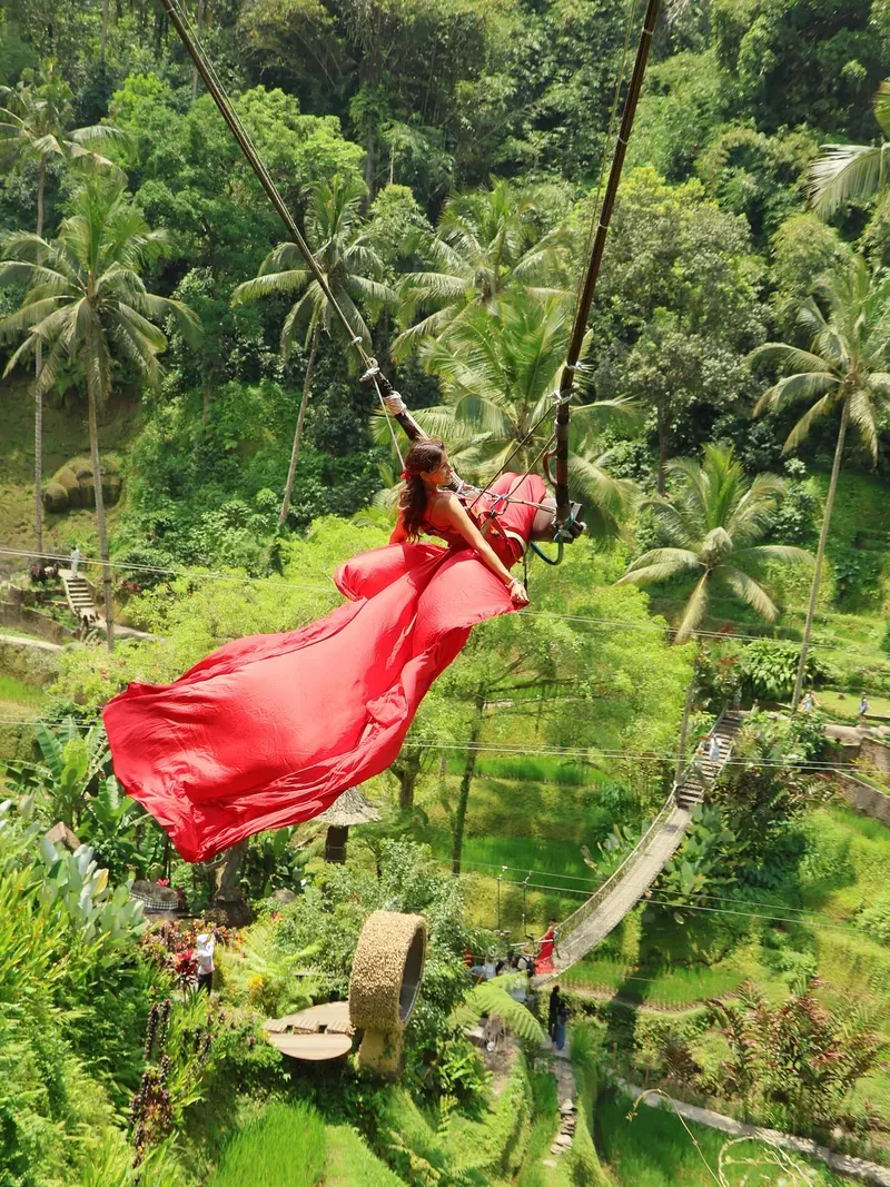 Ubud view 4