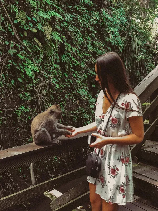 Ubud visitor photo 2
